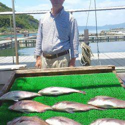 海の釣堀 海恵 釣果