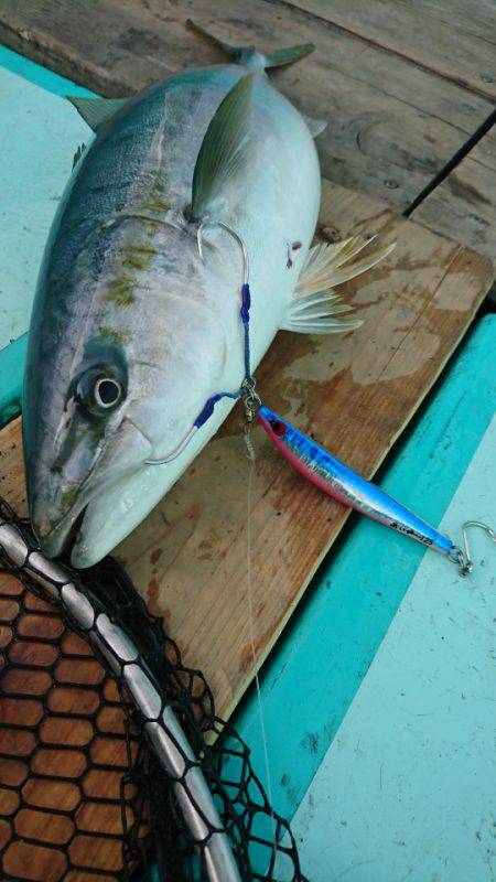 和栄丸 釣果