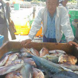 海の釣堀 海恵 釣果