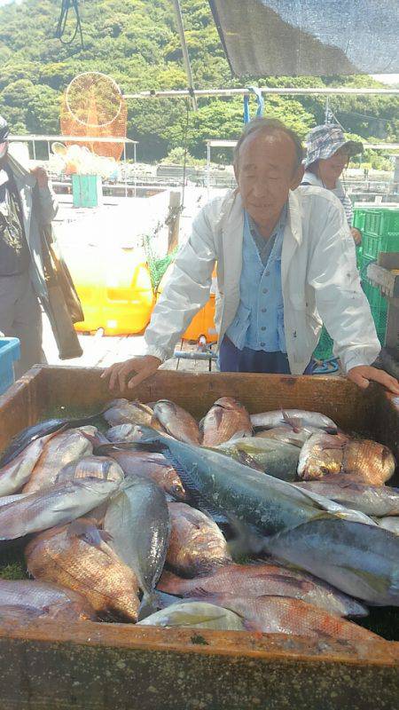 海の釣堀 海恵 釣果