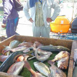 海の釣堀 海恵 釣果