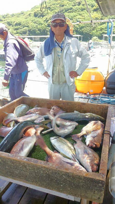 海の釣堀 海恵 釣果