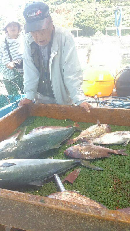 海の釣堀 海恵 釣果