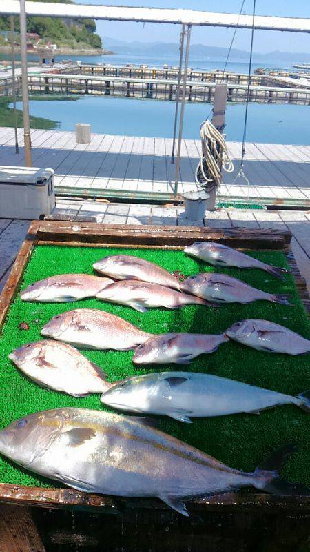 海の釣堀 海恵 釣果