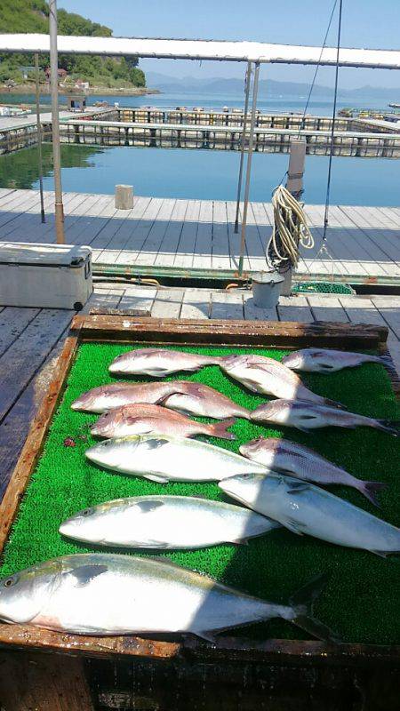 海の釣堀 海恵 釣果