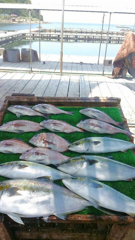 海の釣堀 海恵 釣果