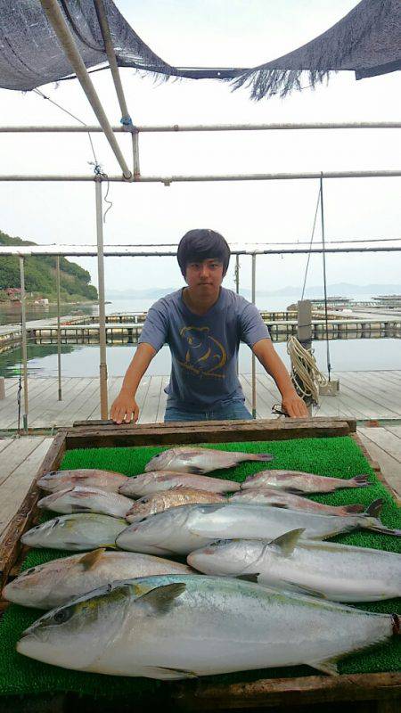 海の釣堀 海恵 釣果