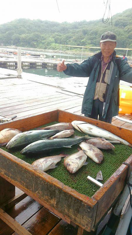 海の釣堀 海恵 釣果