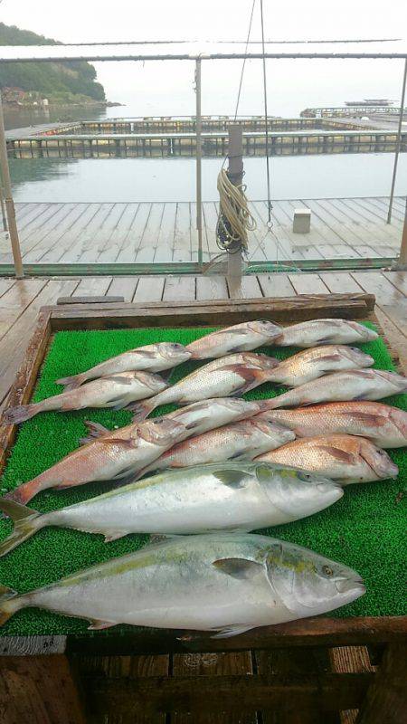 海の釣堀 海恵 釣果