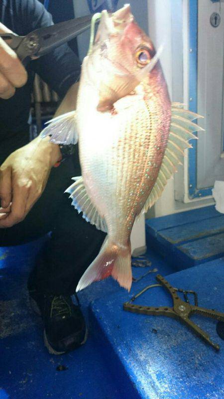 海龍丸（石川） 釣果