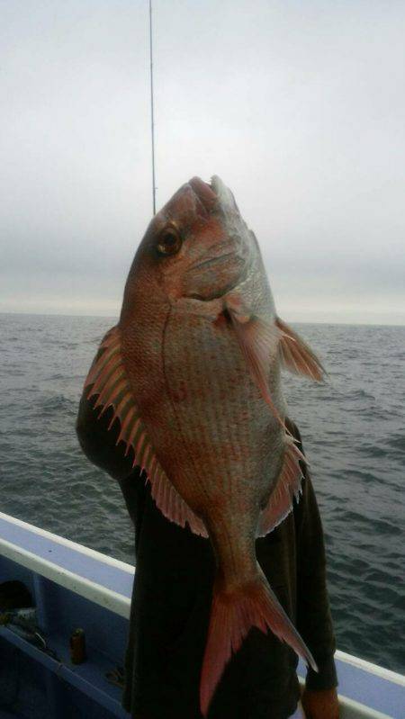 新幸丸 釣果