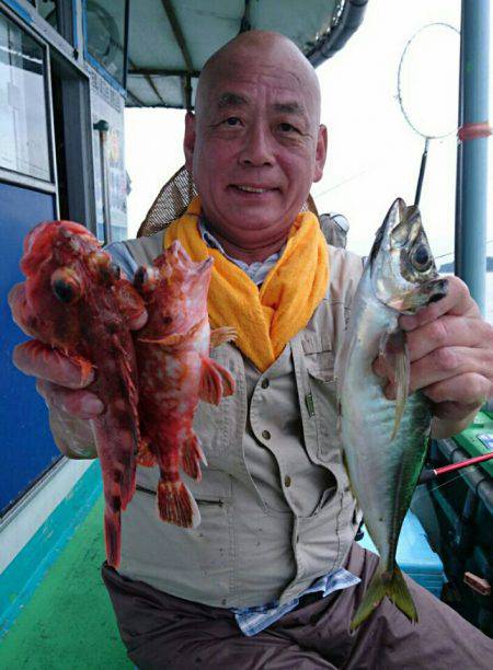 小島丸 釣果