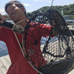 海の釣堀 海恵 釣果