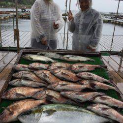 海の釣堀 海恵 釣果