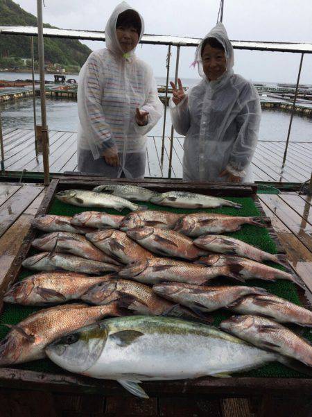 海の釣堀 海恵 釣果