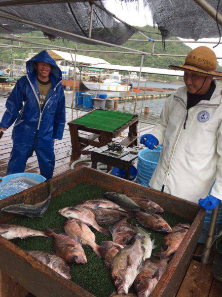 海の釣堀 海恵 釣果