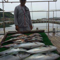 海の釣堀 海恵 釣果