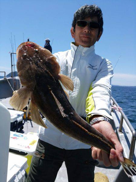 ありもと丸 釣果