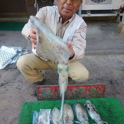 幕島丸 釣果