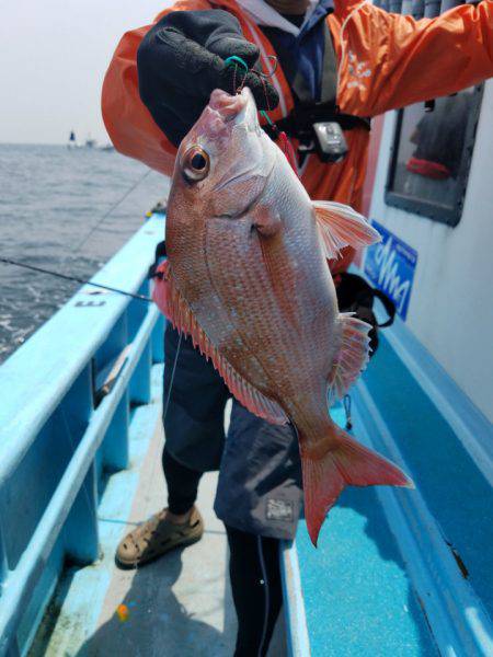 みやけ丸 釣果