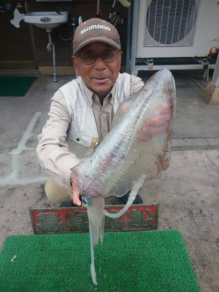 幕島丸 釣果