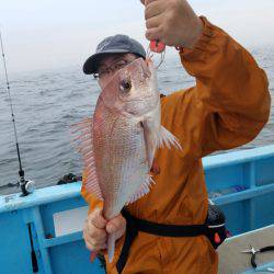 みやけ丸 釣果