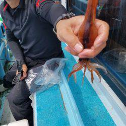 みやけ丸 釣果