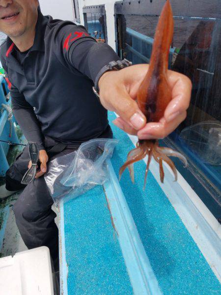 みやけ丸 釣果