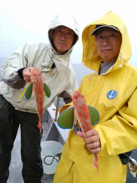 ありもと丸 釣果