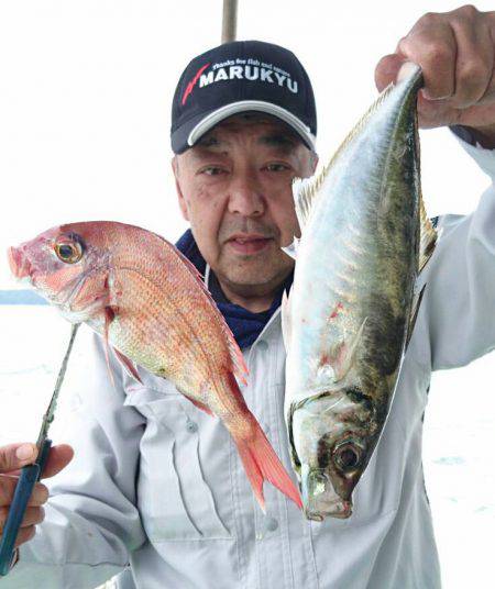 小島丸 釣果