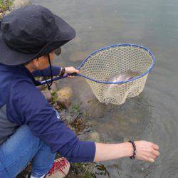 つりぼりあかし 釣果