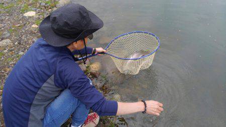 つりぼりあかし 釣果