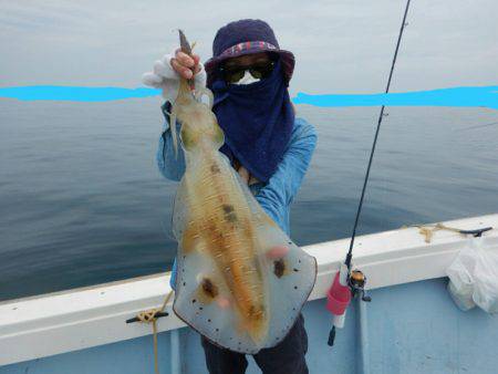 きずなまりん 釣果