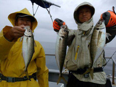 ありもと丸 釣果