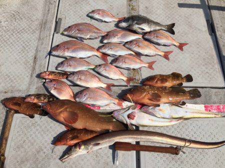 海季丸（みきまる） 釣果