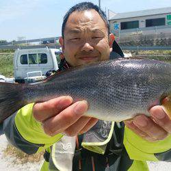 ぽん助丸 釣果