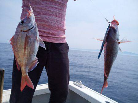 ひな丸 釣果