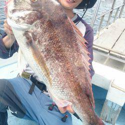 シースナイパー海龍 釣果