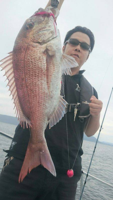 シースナイパー海龍 釣果