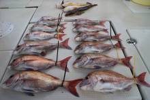 KIM Fishing Guide Service 釣果