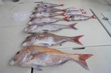 KIM Fishing Guide Service 釣果