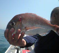 美咲丸 釣果