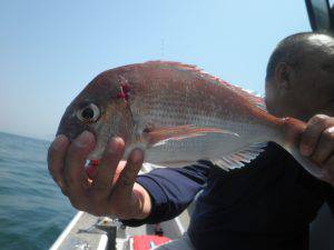 美咲丸 釣果