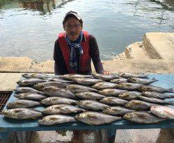 おざき丸 釣果