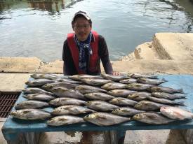 おざき丸 釣果