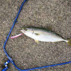 夏休み初釣行！