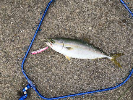 夏休み初釣行！