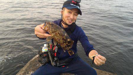 カサゴ新記録 めばるポンポン 神奈川 野島堤防 ワインド メバル 陸っぱり 釣り 魚釣り 釣果情報サイト カンパリ