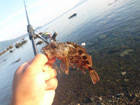 根魚の季節