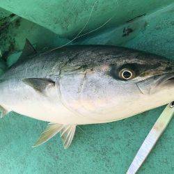 広進丸 釣果